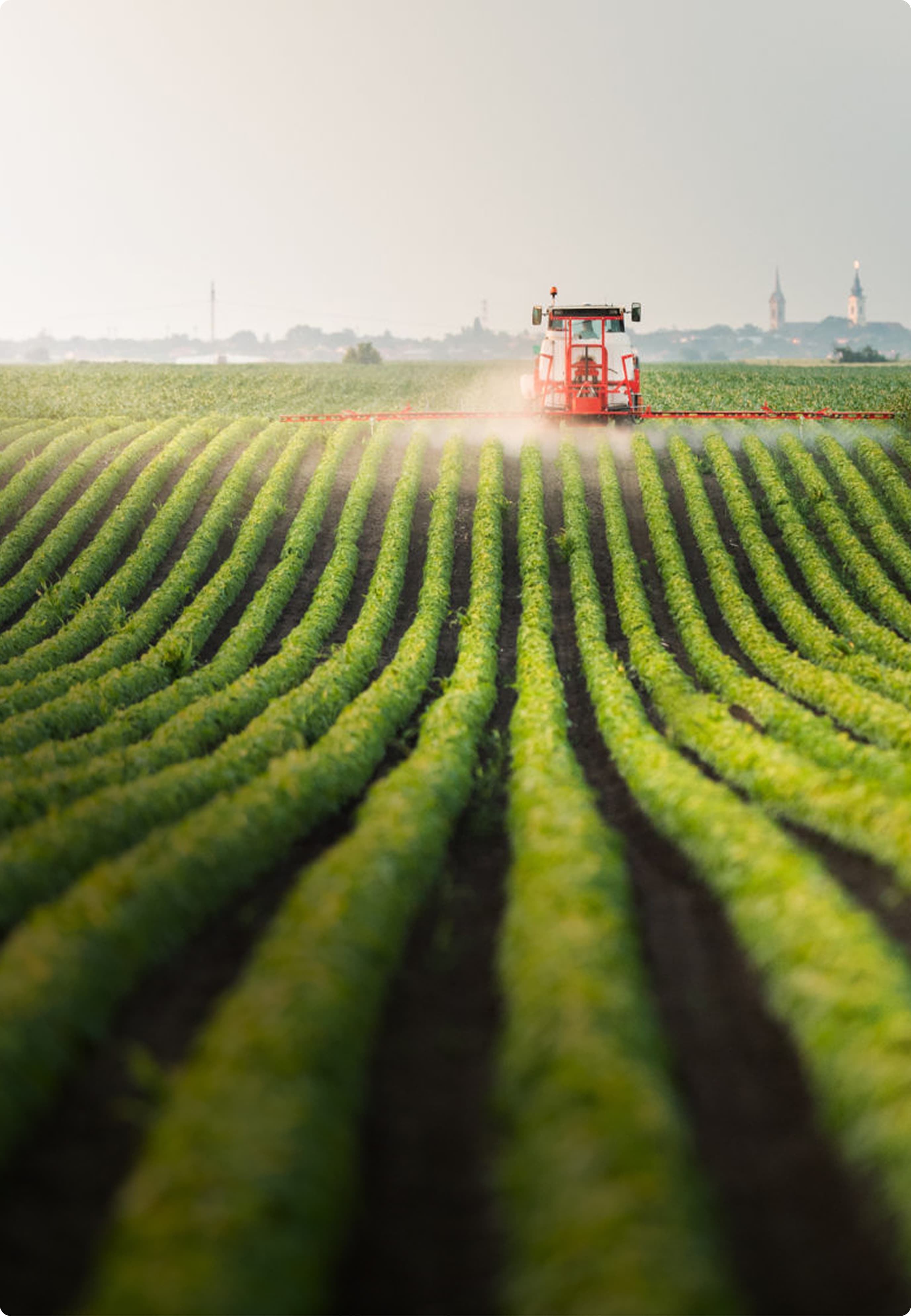 Agriculture