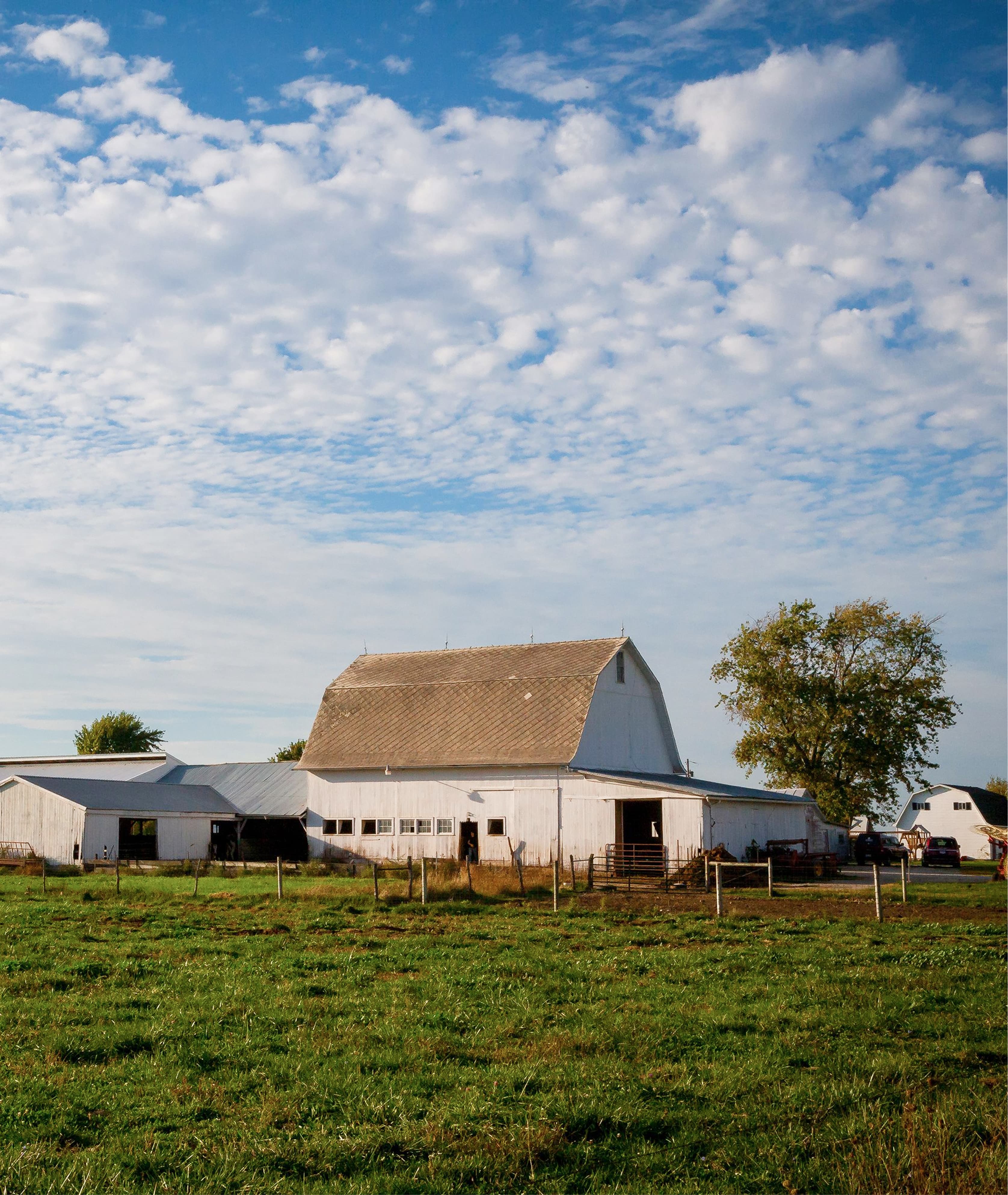 Agriculture