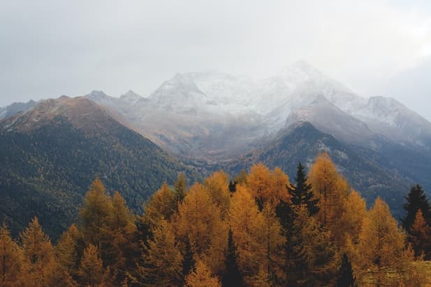 Mountain Valley MD Holdings Inc. Proceeding With Application To List on The TSX Venture Exchange