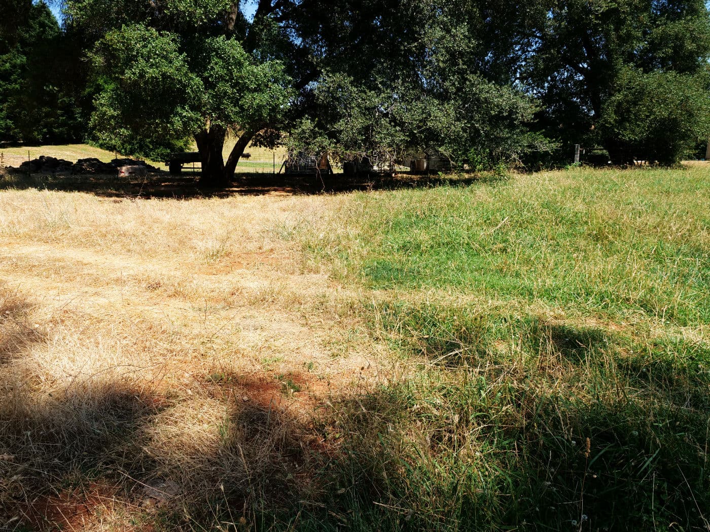 California Ranch Trials Agrarius™ for Cattle image