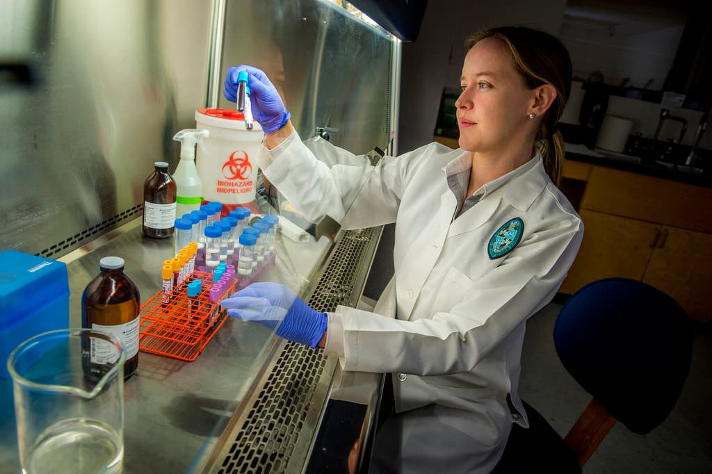 MVMD Welcomes Dr. Elizabeth Norton to Advisory Role / Cold Chain and Vaccine Progress